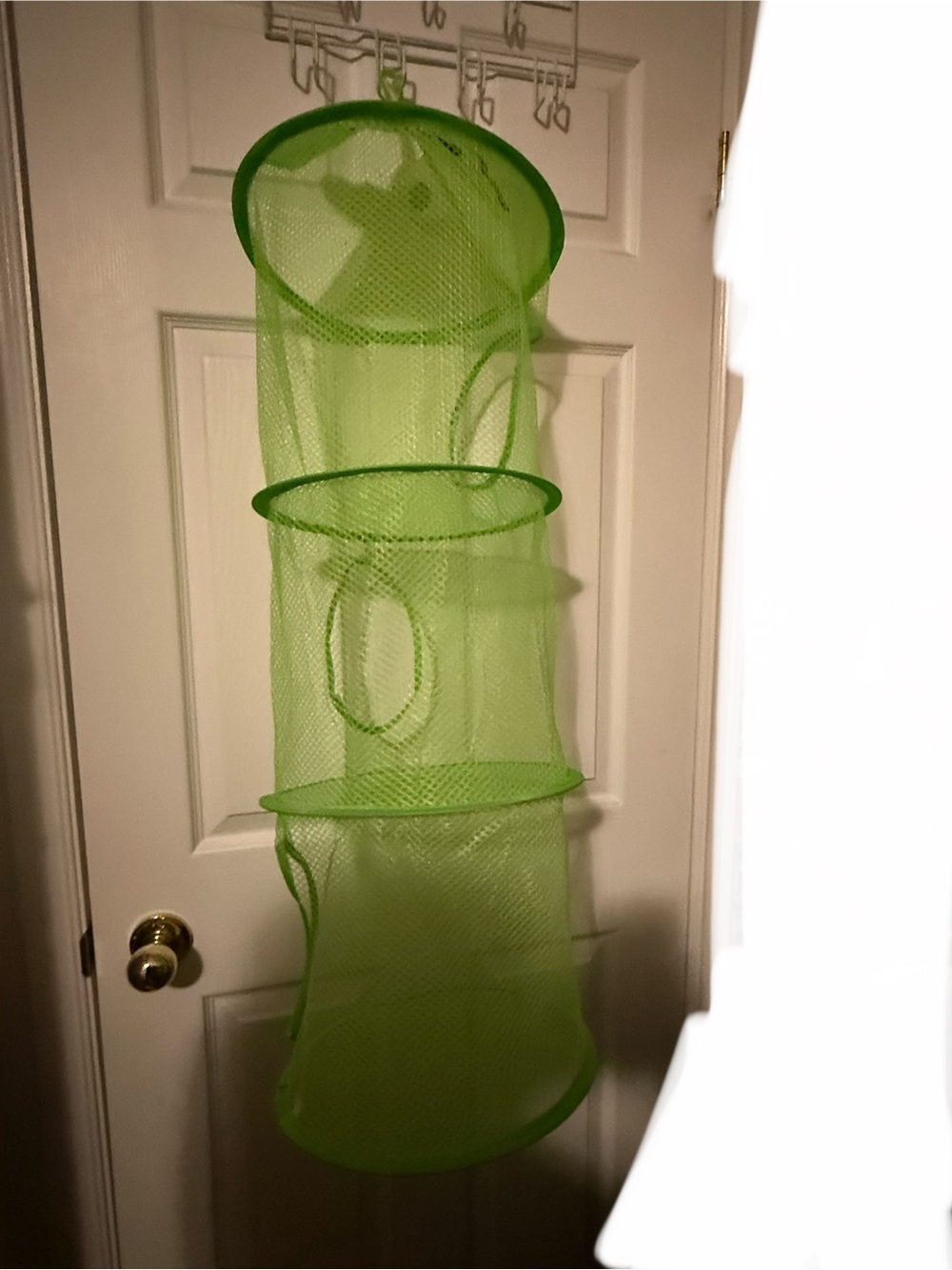 Hanging Mesh Organizer - Bright Lime Green 🐸